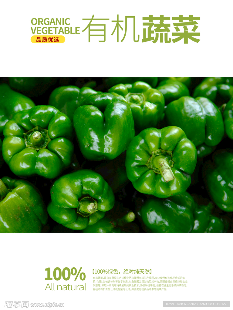 青椒 辣椒 蔬菜海报