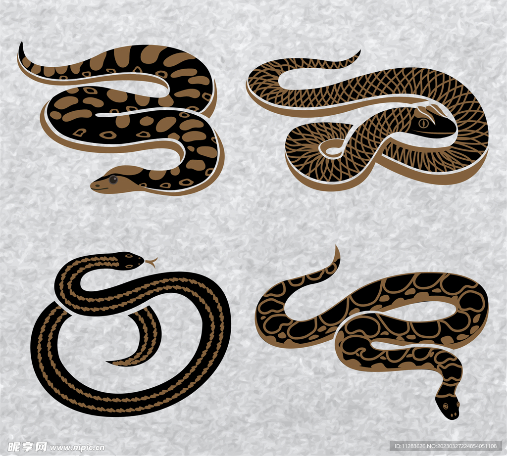 蛇插画