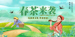 茶叶