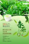 春茶海报