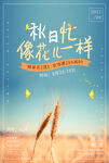 秋日忙