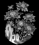 牡丹  