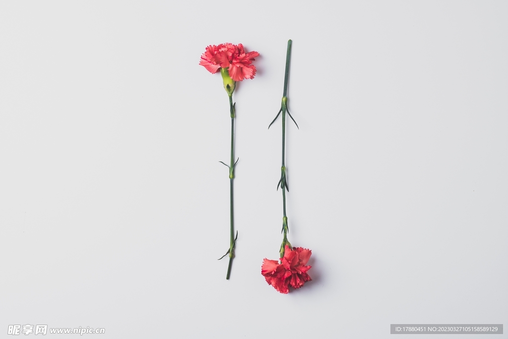鲜花