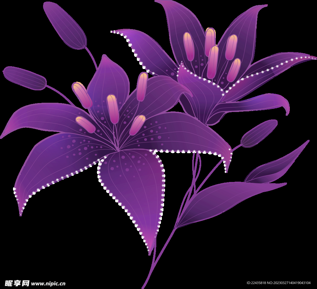 紫色百合花PNG免扣素材