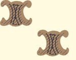 字母