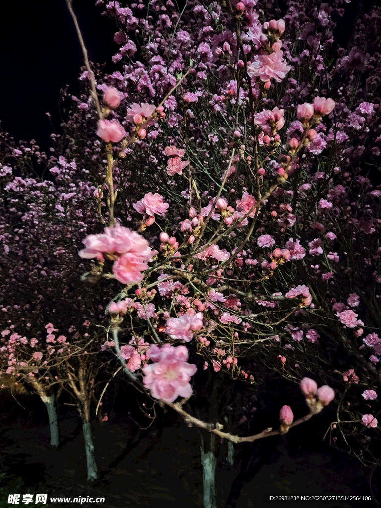 夜晚繁花