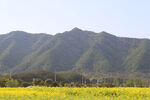 樟木村-大山底