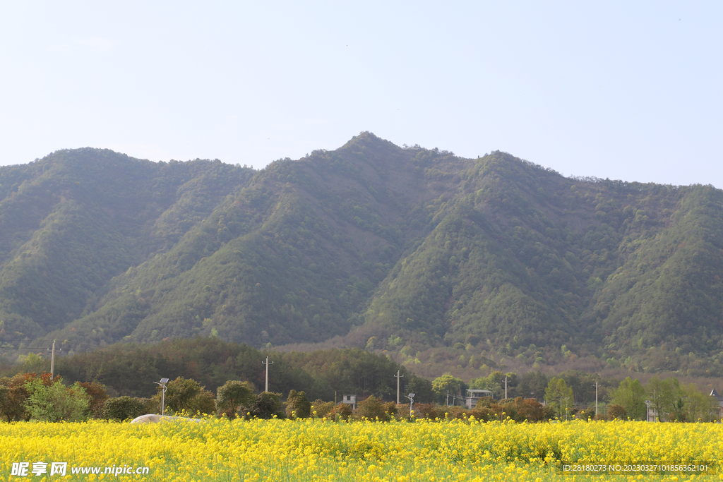 樟木村-大山底