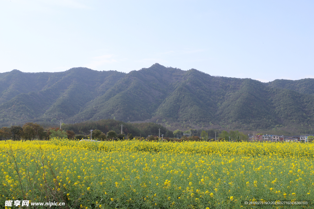 樟木村-农村大山
