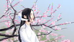 樱花少女