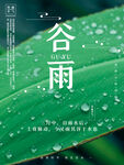 谷雨传统