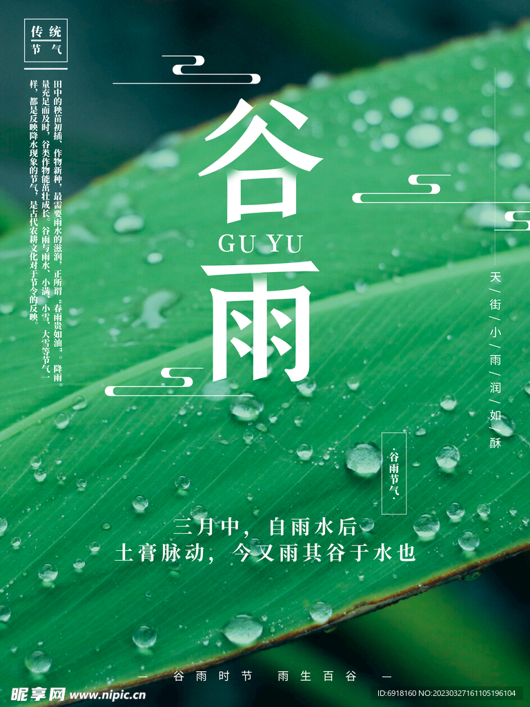 谷雨传统展板