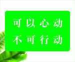 可以心动 不可心动