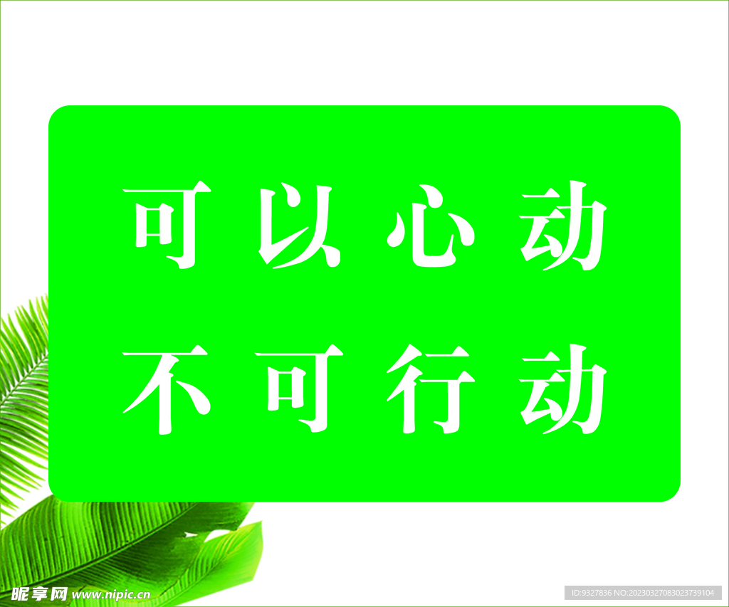 可以心动 不可心动