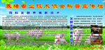 养猪技术