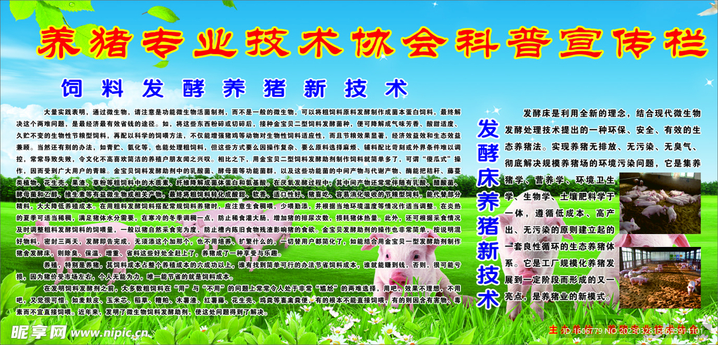 养猪技术