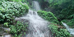 高山流水