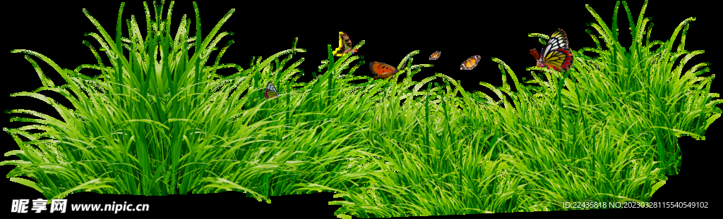 绿色草坪草丛植物素材图片