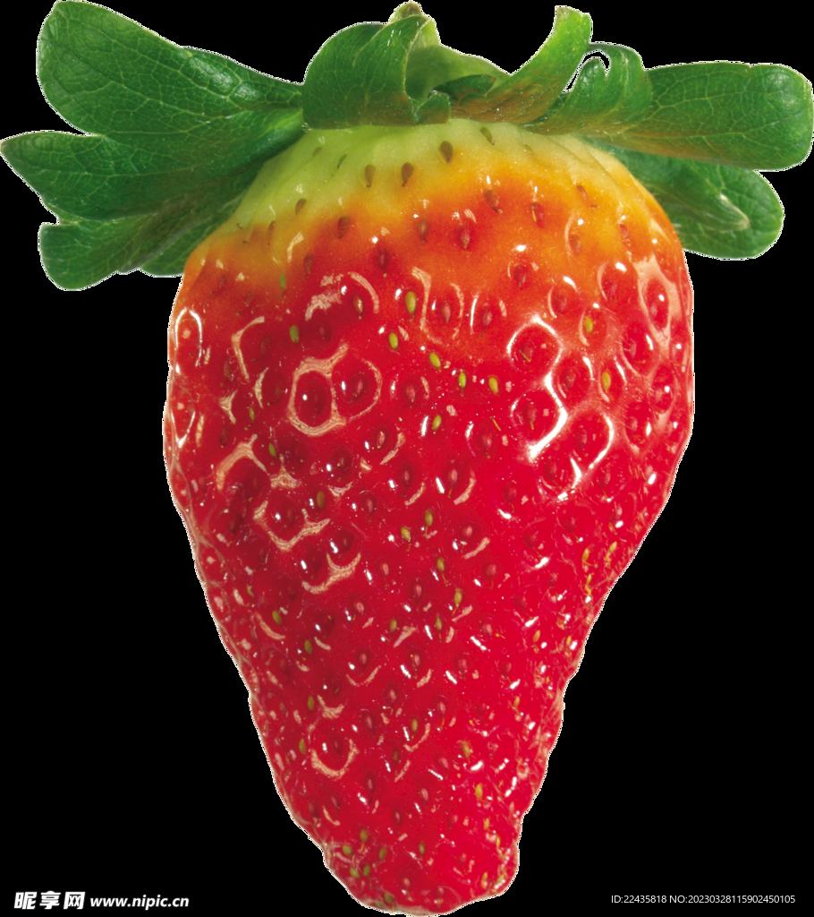 鲜果红草莓水果素材
