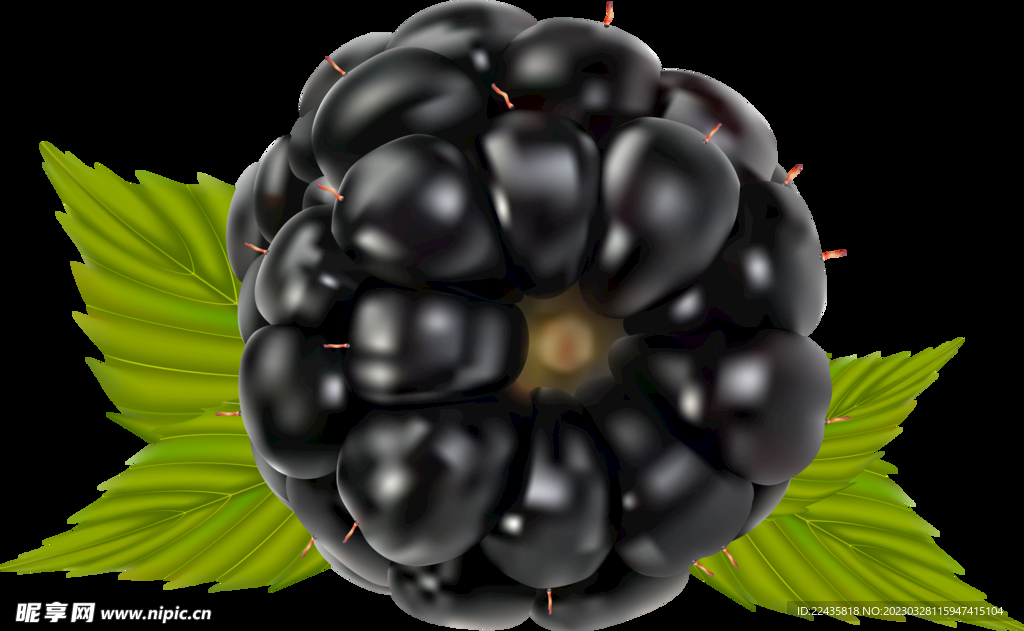 黑树莓野果PNG免扣水果素材