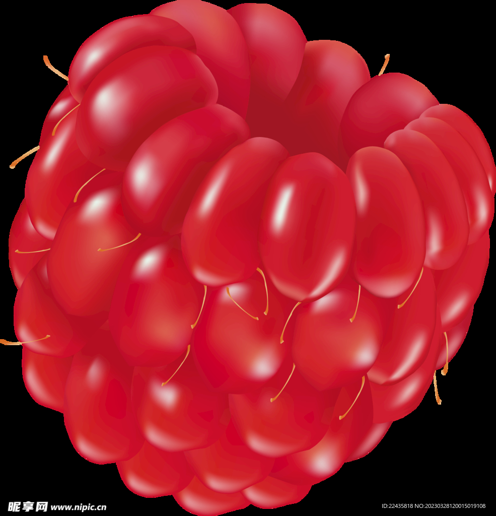 山莓树莓野果PNG免扣水果素材