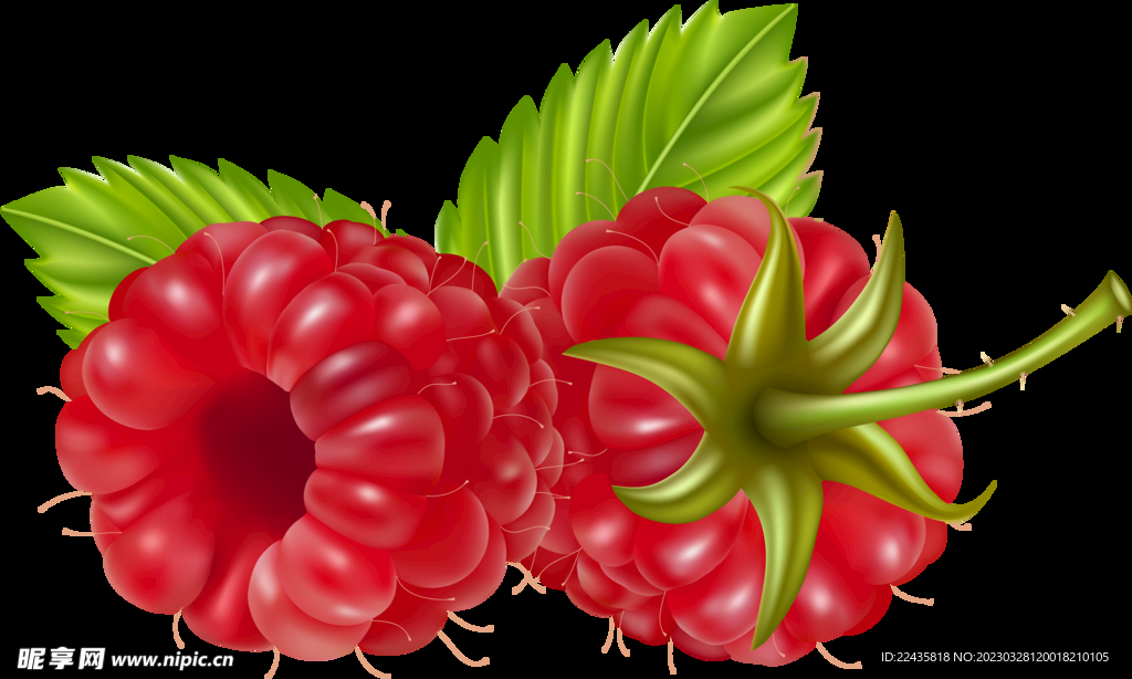山莓树莓野果PNG免扣水果素材