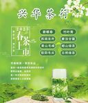春茶上新
