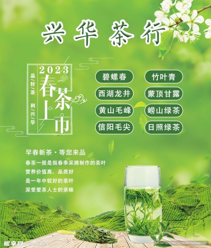 春茶上新