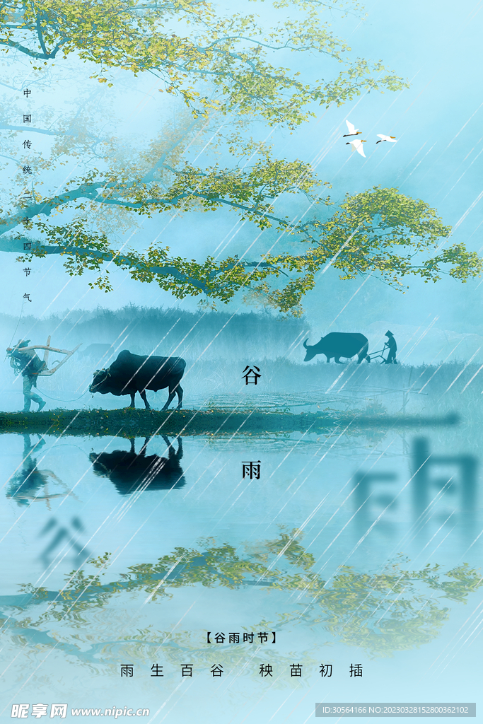 谷雨