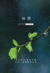 谷雨