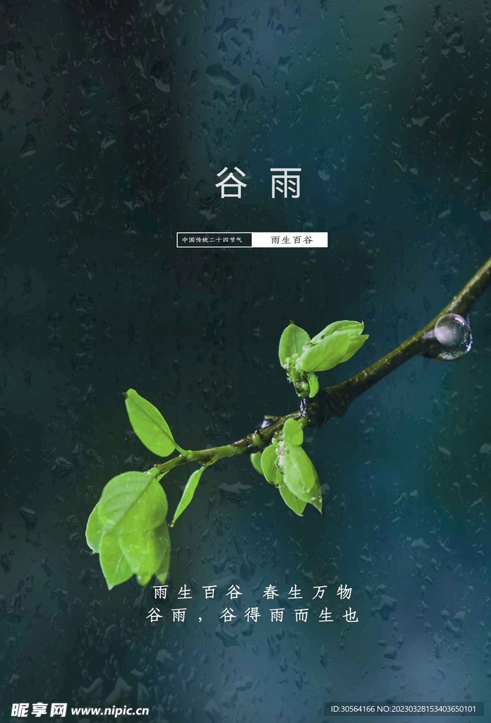 谷雨