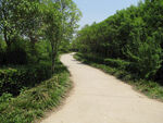 小路