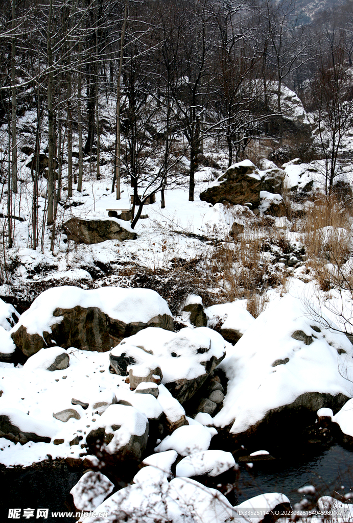雪景