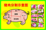 猪肉分割示意图