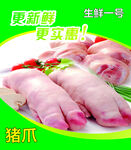 猪爪