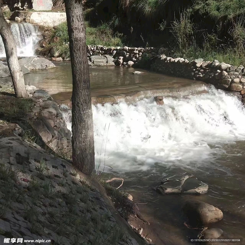 水