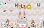 兔兔 hello
