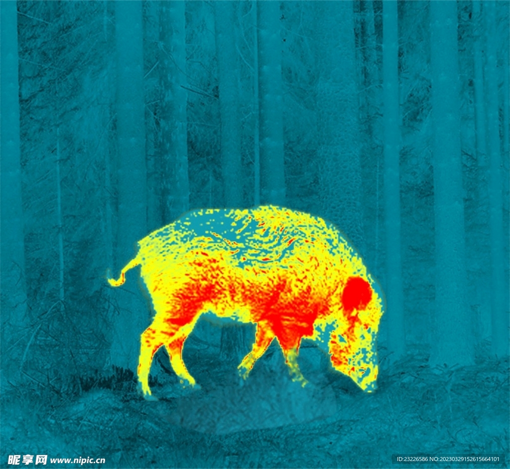 动物红外线热成像 