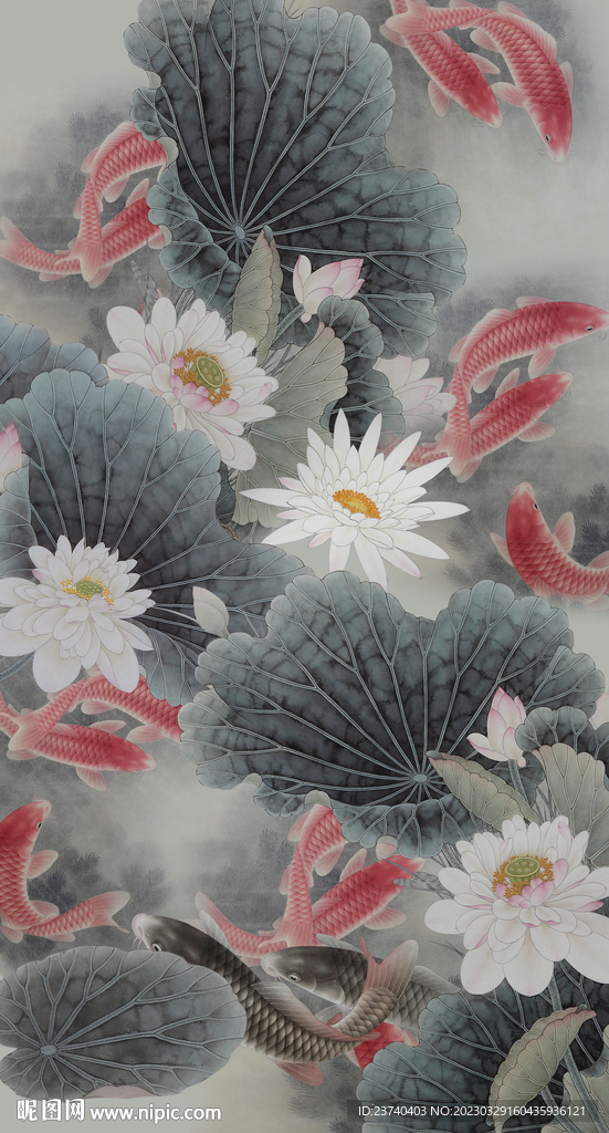 荷花 