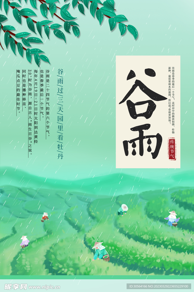 谷雨