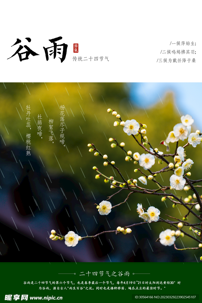 谷雨