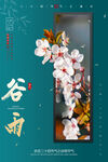 高端节气宣传海报