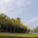 公园风景