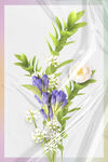 花海报