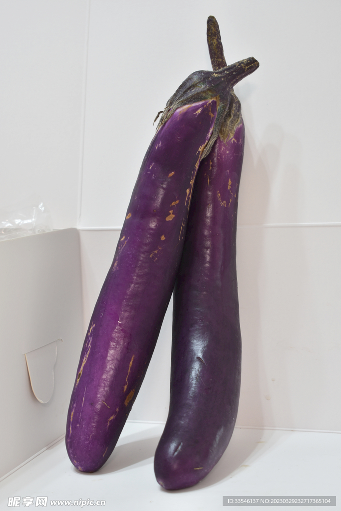 紫长茄子