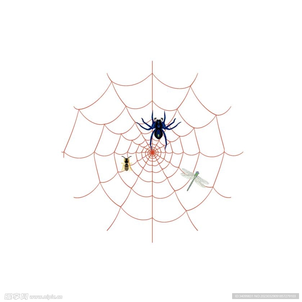 蜘蛛网小图标矢量图