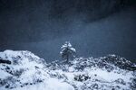 雪林