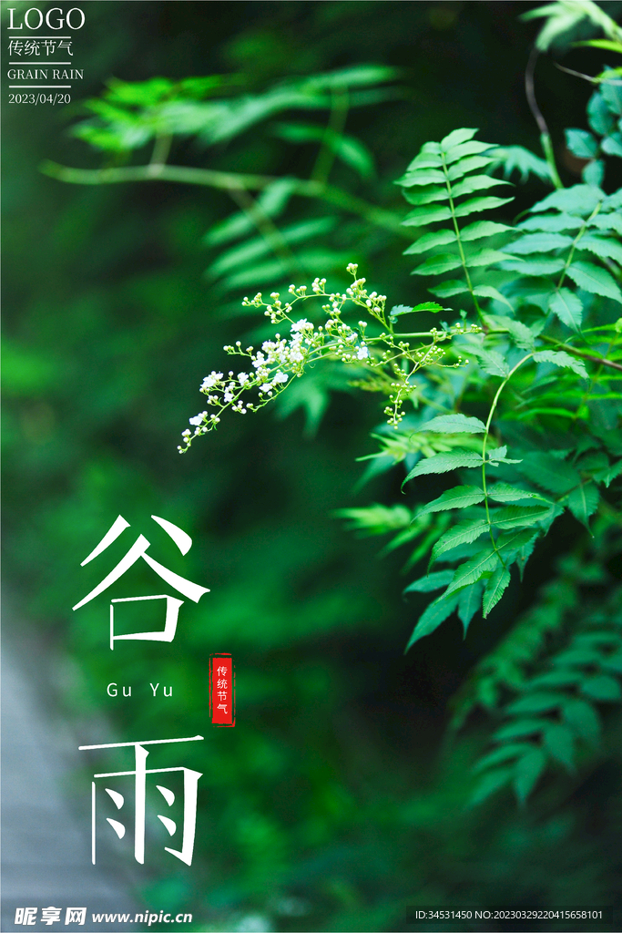 谷雨