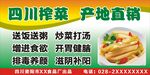 榨菜