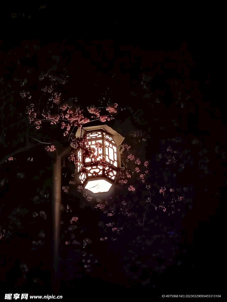 夜景